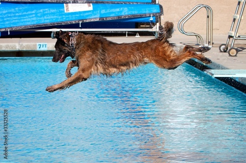 Photo: Jumping into the pool Jumping into the pool