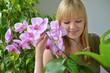 Photo: Junge Frau gießt Orchideen Junge Frau gießt Orchideen