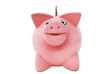Piggy Bank +  isolated + Clipping Path