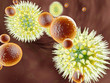 Virus gegen Immunsystem