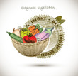 Vector organic label.