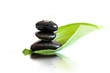 Spa still life with green leaves and stones Spa still life with green leaves and stones