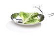 Salatblatt im Labor mit Pinzette und Klemme