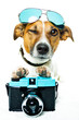 dog photo camera dog photo camera