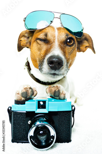 Photo: dog photo camera dog photo camera
