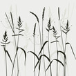 collection, for designers, plant vector collection, for designers, plant vector