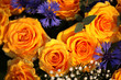 Bunch of roses