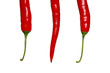 Foto: Rote feurig scharfe Peperoni Rote feurig scharfe Peperoni