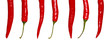 Red Hot Chilis Pepper