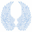 Wings