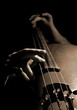Musician playing contrabass Musician playing contrabass