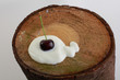 Foto: kirsche joghurt holz kirsche joghurt holz