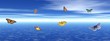 Butterflies and ocean