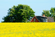 Ländliches Idyll