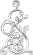 Magic swirl of acanthus leaves