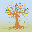 Laubbaum im Herbst
