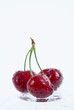 Cherry/ V