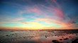 Camargue