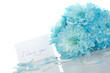 Blue chrysanthemums
