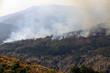 Mountain summer fire