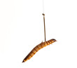 Worm on fish bait hook