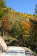 Autunnale