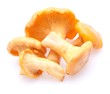 Pfifferlinge