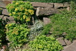 Natursteinmauer