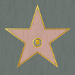 Hollywood Star