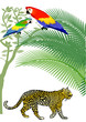 Papagai und Jaguar