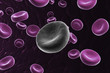 blood cells