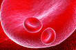 blood cells