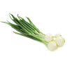 young onion