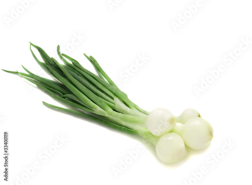 Photo: young onion young onion