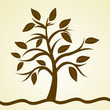 natural tree