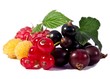 Beeren