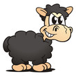 Black Sheep