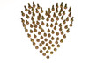 Plan View of Brass Screws stood forming Heart Shape