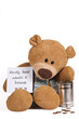 Lonely Teddy Bear searching for a Home