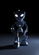 Kaya Robot