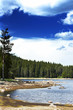 green pine and blue sky in mountain
