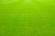 lawn lawn