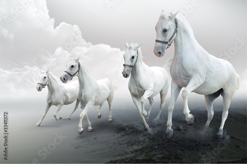 Four white horses