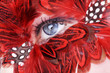 Photo: Blaues Auge mit Federn, quer close up Blaues Auge mit Federn, quer close up