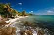Seashore, Puerto RIco