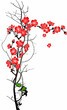 Vector: Blooming cherry Blooming cherry