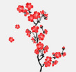 Vector: A branch of blooming cherry tree Sakura A branch of blooming cherry tree Sakura