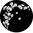 Vector: Blooming cherry in ink Blooming cherry in ink