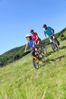 Family on a mountain bike ride in summer