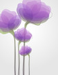 Flowers. Vector illustration.